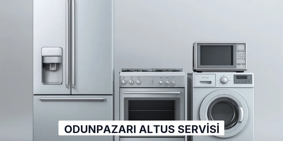 Odunpazarı Altus Servisi