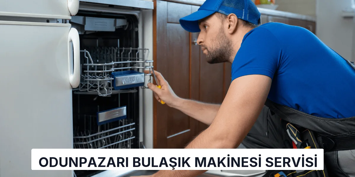 Odunpazarı Bulaşık Makinesi Servisi