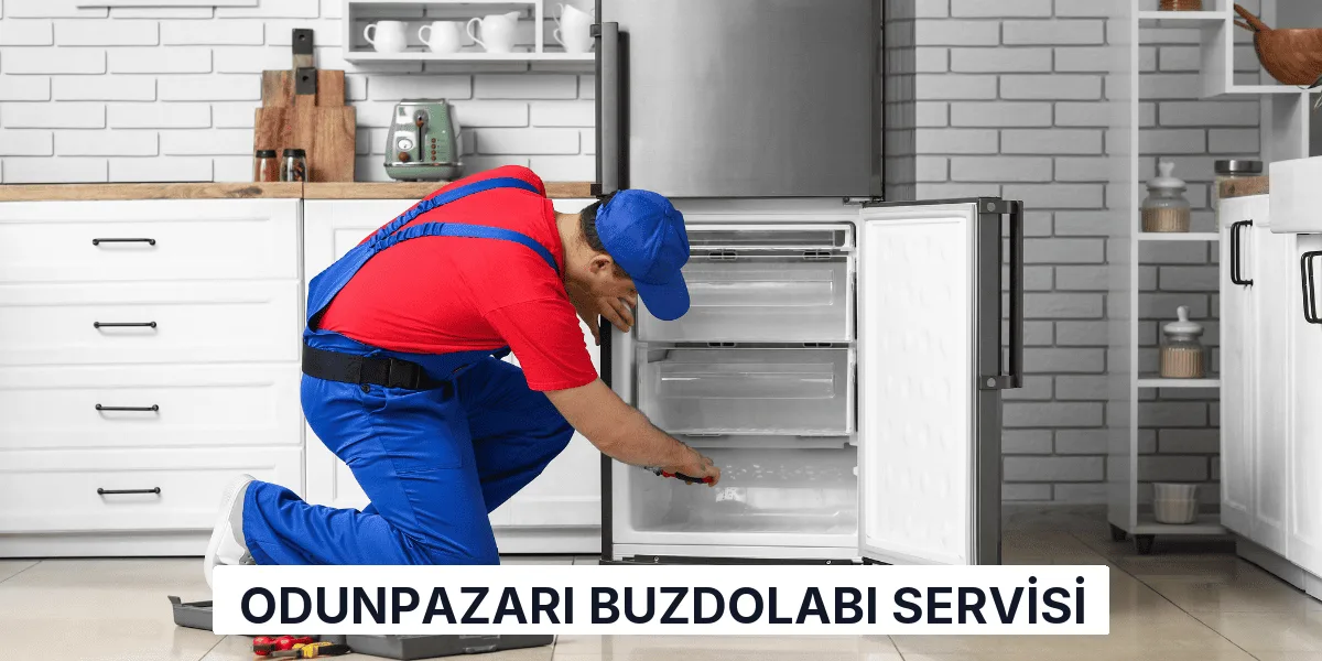 Odunpazarı Buzdolabı Servisi