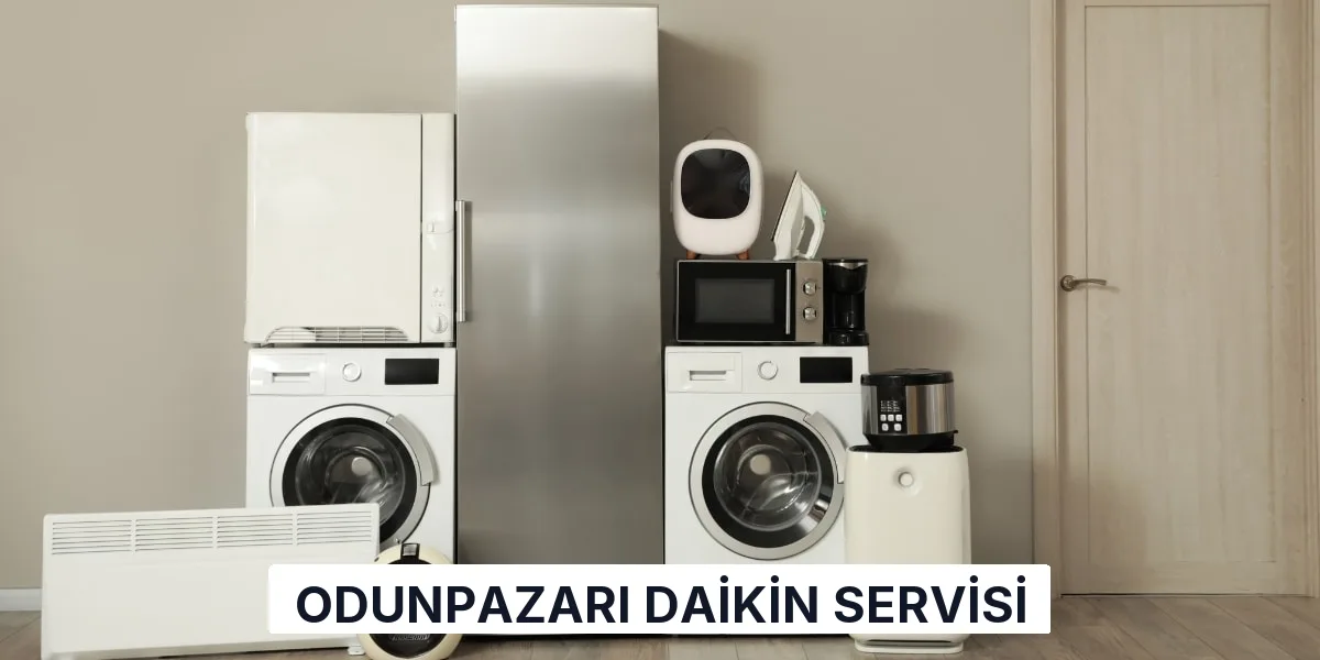 Odunpazarı Daikin Servisi
