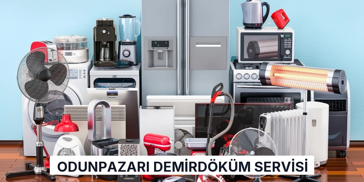 Odunpazarı Demirdöküm Servisi