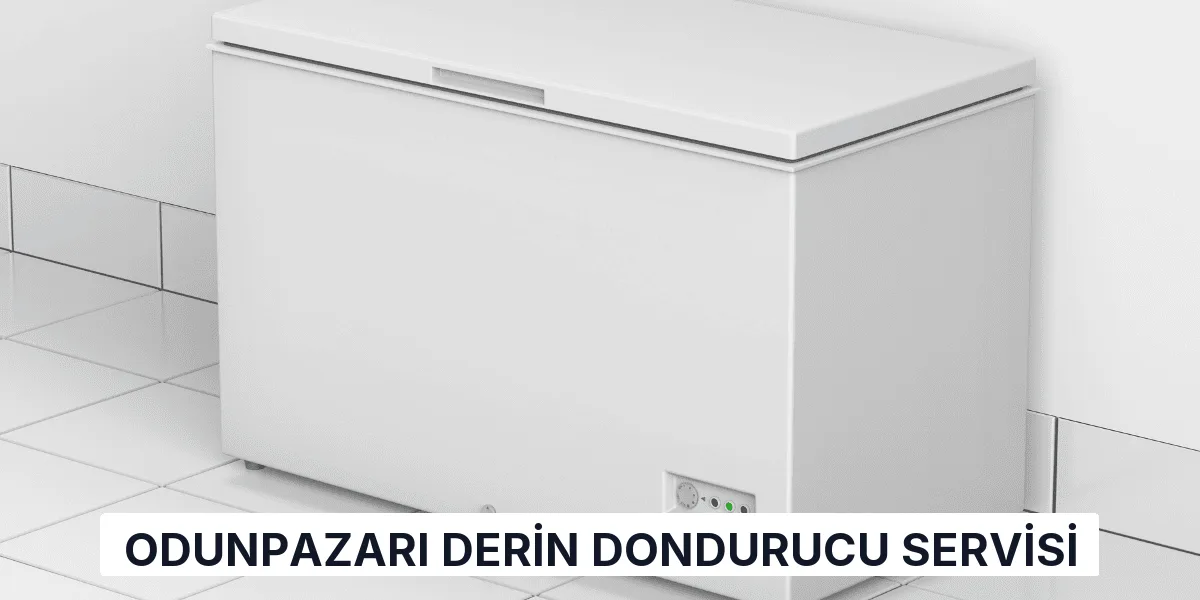 Odunpazarı Derin Dondurucu Servisi