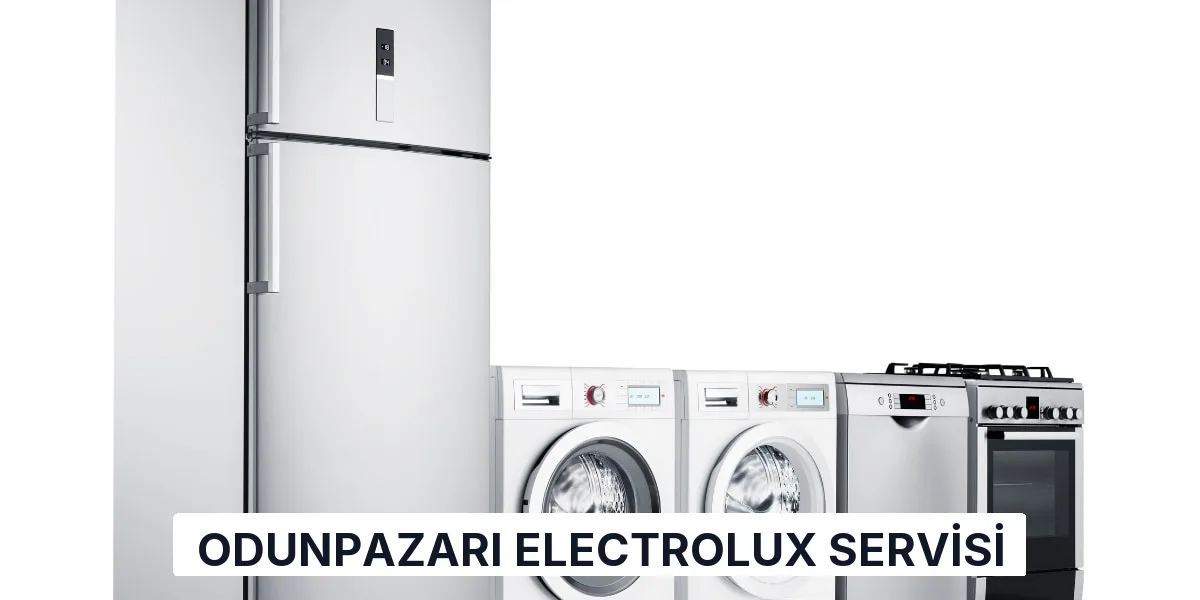 Odunpazarı Electrolux Servisi