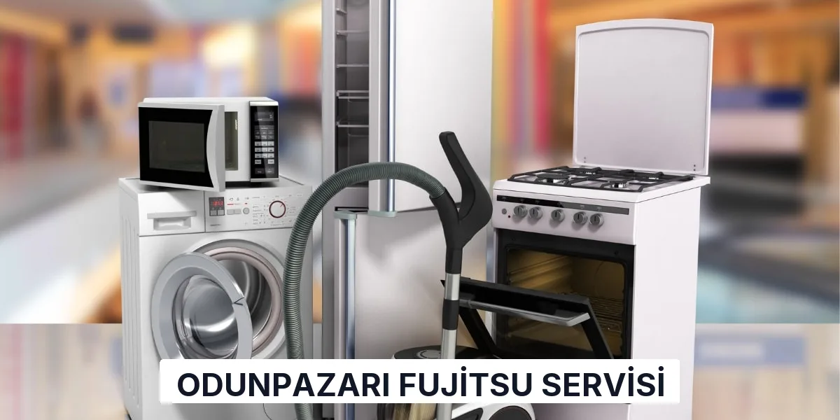 Odunpazarı Fujitsu Servisi