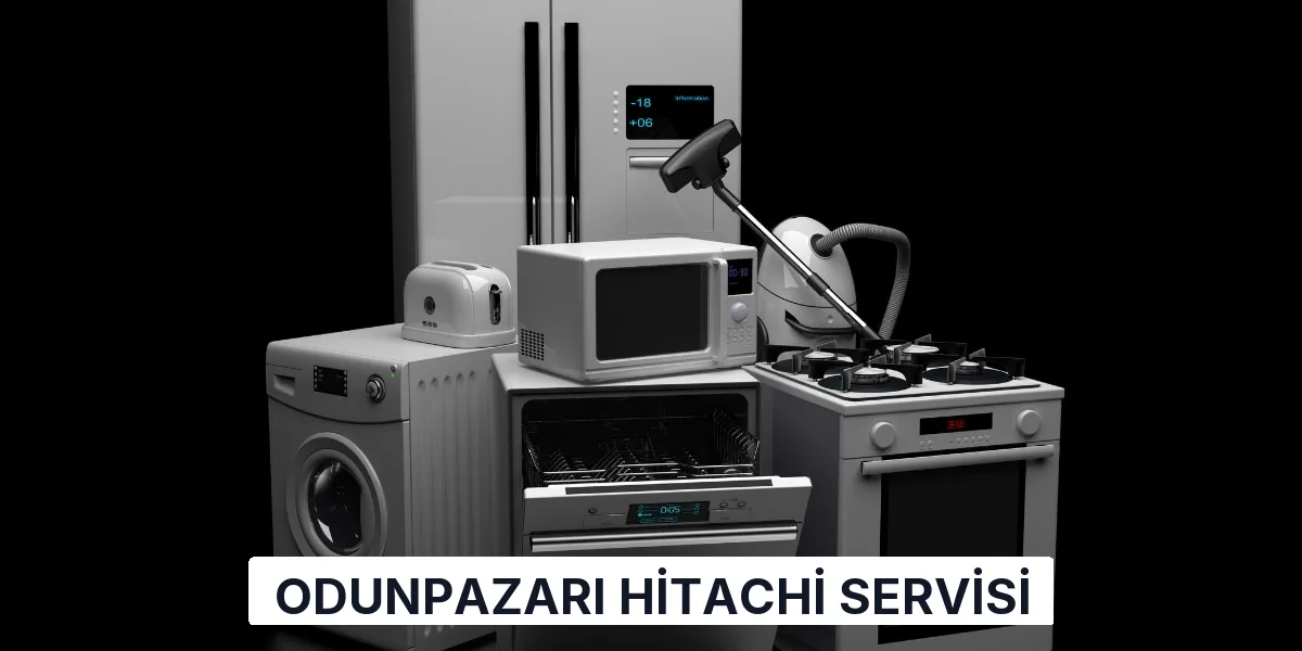 Odunpazarı Hitachi Servisi