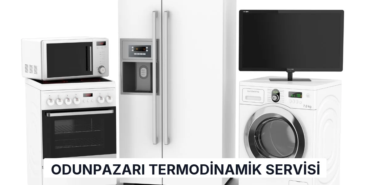 Odunpazarı Termodinamik Servisi