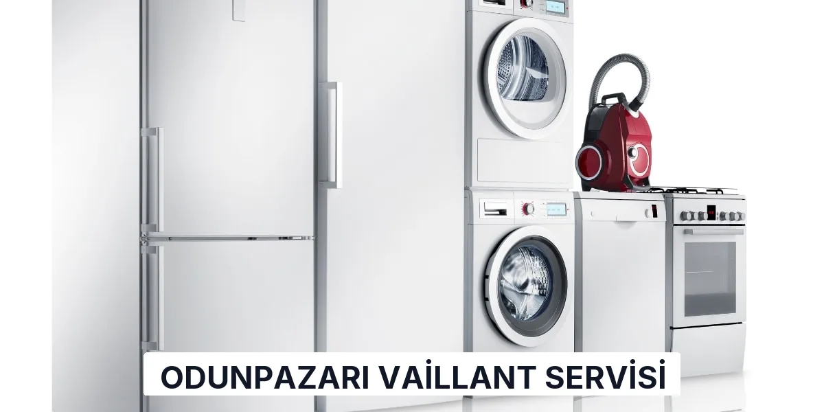 Odunpazarı Vaillant Servisi