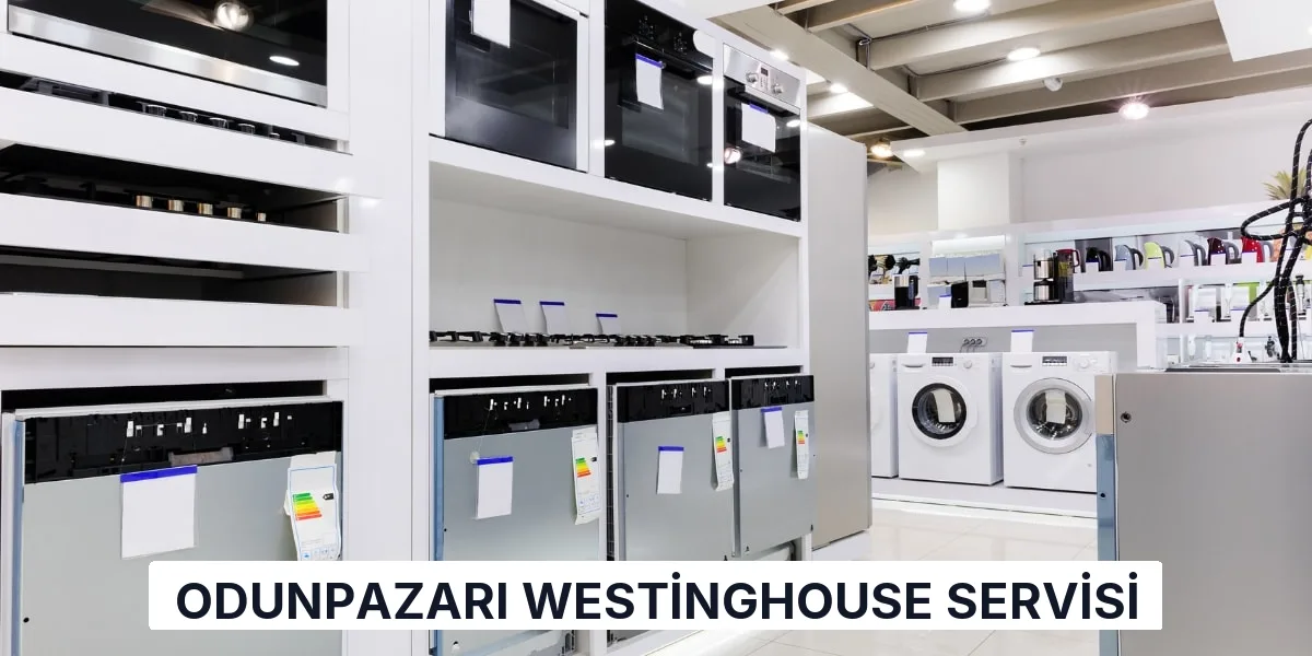 Odunpazarı Westinghouse Servisi